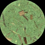 Thailand Banana Paper Green